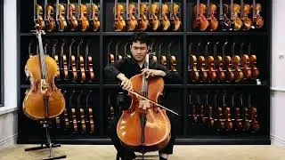 【&nbsp;ISVA&nbsp;Strings】進階學院系列 Academy-II 手工大提琴 全實木結構 健康無甲醛 學生練習專用 (官方直營 安心保障)