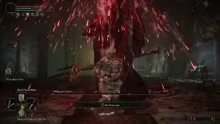 Elden Ring - Sewer Mohg seems better than Gargs [RL1, WL0]