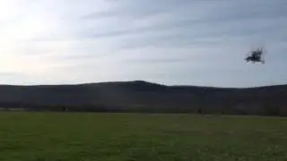 Sting Wing Flight