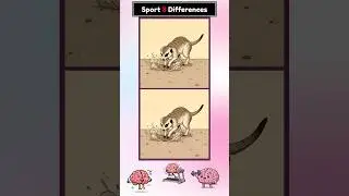 #234 Spot the Difference - Meerkat's Grub Hunt | Brain Fitness Puzzle Game
