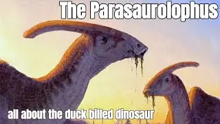 Parasaurolophus: The Duck Billed Dinosaur | Learn All About The Diplodocus