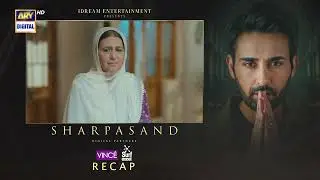 SharPasand Episode 39 | RECAP | Nauman Ijaz | Hareem Farooq | Hira Mani | ARY Digital Drama