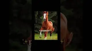 cute chestnut horse names! // should I do more with diff colors? ✨