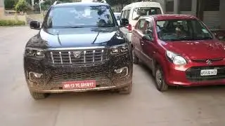 Scorpio N Vs Alto 800