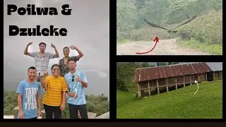 Poilwa Sheep farm & Dzuleke // Travel Diaries// Nagaland
