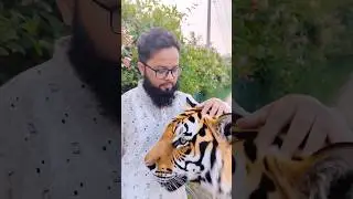 🔹 AI দিয়ে ছবি থেকে ভিডিও বানালাম! 😱 | Photo to Video with AI #shorts  #aishorts #ai