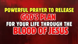 Powerful Prayer to Release God&rsquo;s Plan for Your Life through the Blood of Jesus