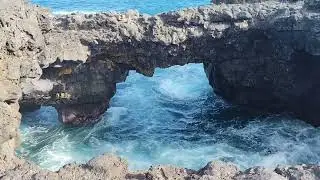 Wild southeast Mauritius