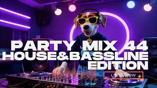 Bassline Anthems 2025 🔊 Nathan Dawe   Fred again   James Hype   Skepta   Dizzee Rascal + More | UK