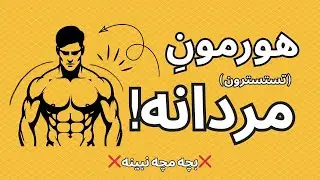 هیچ‌کس اینو درباره تستوسترون نمیگه!