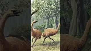 The Forgotten Creatures We Drove to Extinction