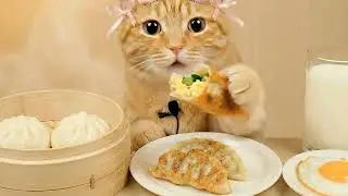 Cute AI Cat Mukbang & ASMR | Delicious Dumplings & Milk 🥟🐱