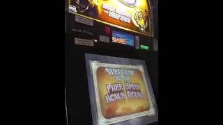 Cats - Casino Slot Machine Bonus Game Win