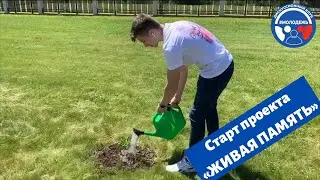 ДК #Молодежь и Министерство Обороны на открытии Аллеи "Сирень Победы"
