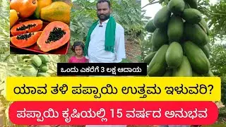 ಪಪ್ಪಾಯಿ ಕೃಷಿ ಸಂಪೂರ್ಣ ಮಾಹಿತಿ |complete information on papaya cultivation #papaya #kannada #profitable