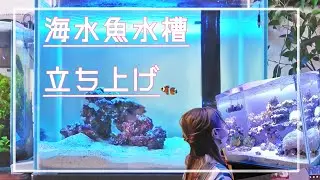 60㎝海水魚水槽立ち上げから生体導入まで！