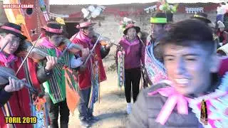 TORIL EN  MORCOLLA GRANDE SUCRE 2019