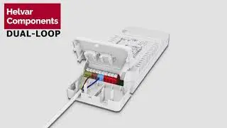 Helvar Components DUAL-LOOP connections