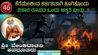 Ep 46. ಕೆರೆಮೇಲಿಂದ ಕರ್ಕಶವಾಗಿ ಕೂಗಿಕೊಂಡು ವಿಕಾರ ರೂಪದ ಒ೦ದು ಆಕೃತಿ ಬಂತು...!! ಶ್ರೀ ವೇಂಕಟಾಚಲ ಅವಧೂತರು. 