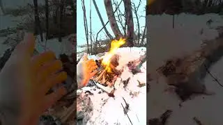 Snowy Forest Adventure with dogo OTTO : Mountain Hike, Campfire, Grilled Sausages | VERTICAL shot