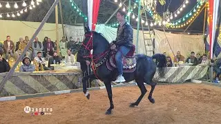 غزل مصر وعبد الرحمن سرحان حفلة محمود الدولي سقارة 2026