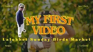 Pheli bar lalukhet Birds Market  | Sunday Birds Market | 1-11-2026