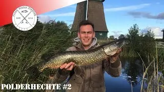 Polderangeln in Holland Teil 2, Hechtangeln an kleinen Poldern