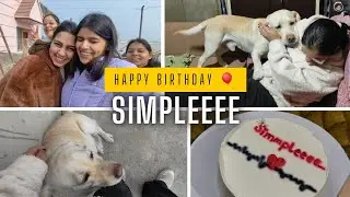 Simpleee ka happy Birthday🧡🎉meet pepper and buffy🐶