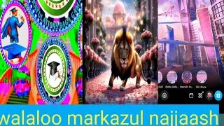 Walaloo markazul najjaash afaan engiliffaatiin qophahe 🥰🥰🥰