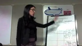 Cassandra's Teaching Demo Video