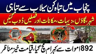 Destructive Floods in Punjab - Cities & Villages Submerged - Thousands Affected, Hundreds Dead
