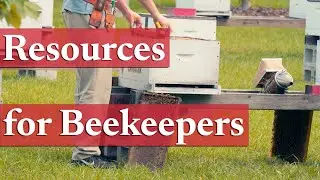 Educational Resources for Beekeepers | Beekeeping Academy | Ep. 13