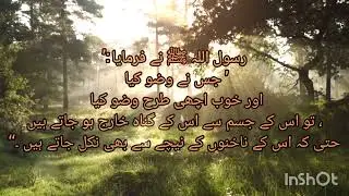 ISLAMIC URDU PAKISTAN.ISLAMIC lime.Hadees e Nabvi in urdu.Hadees Sharif.Hadees e pak.Hadees