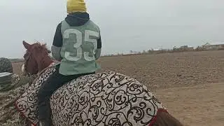 Еллікқала Бахадир аға немересінің сүндет тойы