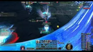 Senekta Kiting