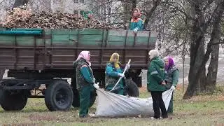 Don&rsquo;t let leaves ruin your yard