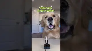 Dog Breath Treats