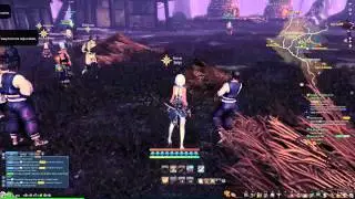 Blade & Soul English Closed Beta