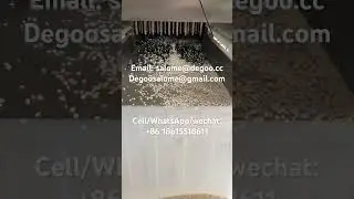 Rice crispy cereal machine maker twin screw extruder frosted Rice Krispies machine manufacturer