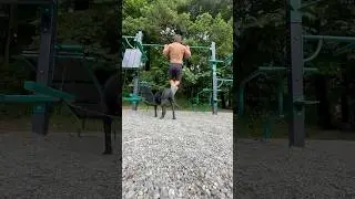 Pull-up break mid dog walk #pullups #dogs #calisthenics #muscle
