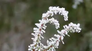 Winterwanderung bei 0&deg;, Schnee und Nebel