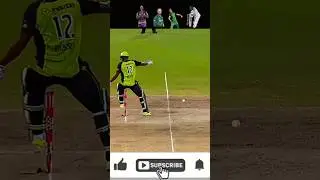 Top five hitwickets different #cricket #shots #viral
