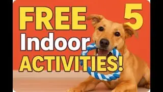 top 5 Free Ways to Keep Your Pet Active Indoors (Fun + Easy!) | Indoor Activities Your Pet Will LOVE