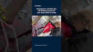 Greenpeace activists dye US Embassy pond red over arms sales to Israel