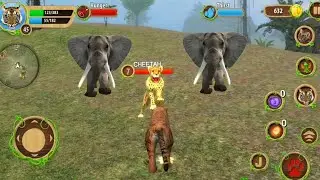 Tiger Family Simulator - Wild Tiger Jungle Survival Best Android GamePlay