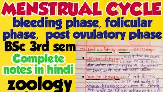 menstrual cycle with phases in hindi