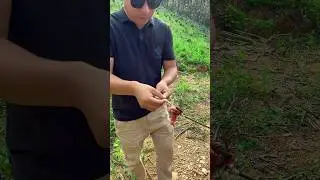 Tracking a Wild Bee with a Drone to Its Secret Giant Hive!