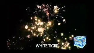 White Tiger
