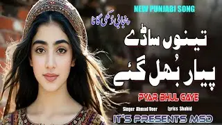 Tenu Saday Pyar Bhul Gaye | New Punjabi Sad Song | Singer Ahmad Veer | Lyrics Shahid
