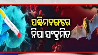 ପଶ୍ଚିମବଙ୍ଗରେ ନିପା ସଂକ୍ରମିତ | Centre steps in as two Nipah cases detected in Bengal | KalingaTV 